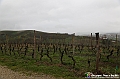 VBS_6869 - Presentazione 5° Rally Il Grappolo Storico 2025